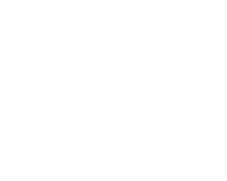 Chauffeur privé Logo